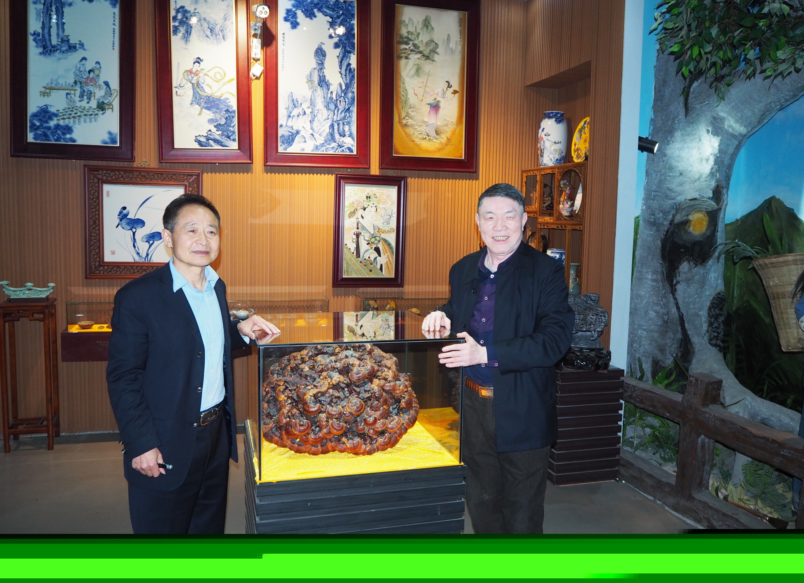 杭州亞運(yùn)會官方靈芝產(chǎn)品供應(yīng)商|杭州亞運(yùn)會官方供應(yīng)商|中國靈芝十大品牌|仙客來靈芝|仙客來靈芝破壁孢子粉|仙客來孢子油|仙客來靈芝飲片|仙客來破壁孢子粉|靈芝孢子油|孢子粉|靈芝破壁孢子粉|靈芝|中華老字號 杭州亞運(yùn)會官方靈芝產(chǎn)品供應(yīng)商|杭州亞運(yùn)會官方供應(yīng)商|中國靈芝十大品牌|仙客來靈芝|仙客來靈芝破壁孢子粉|仙客來孢子油|仙客來靈芝飲片|仙客來破壁孢子粉|靈芝孢子油|孢子粉|靈芝破壁孢子粉|靈芝|中華老字號