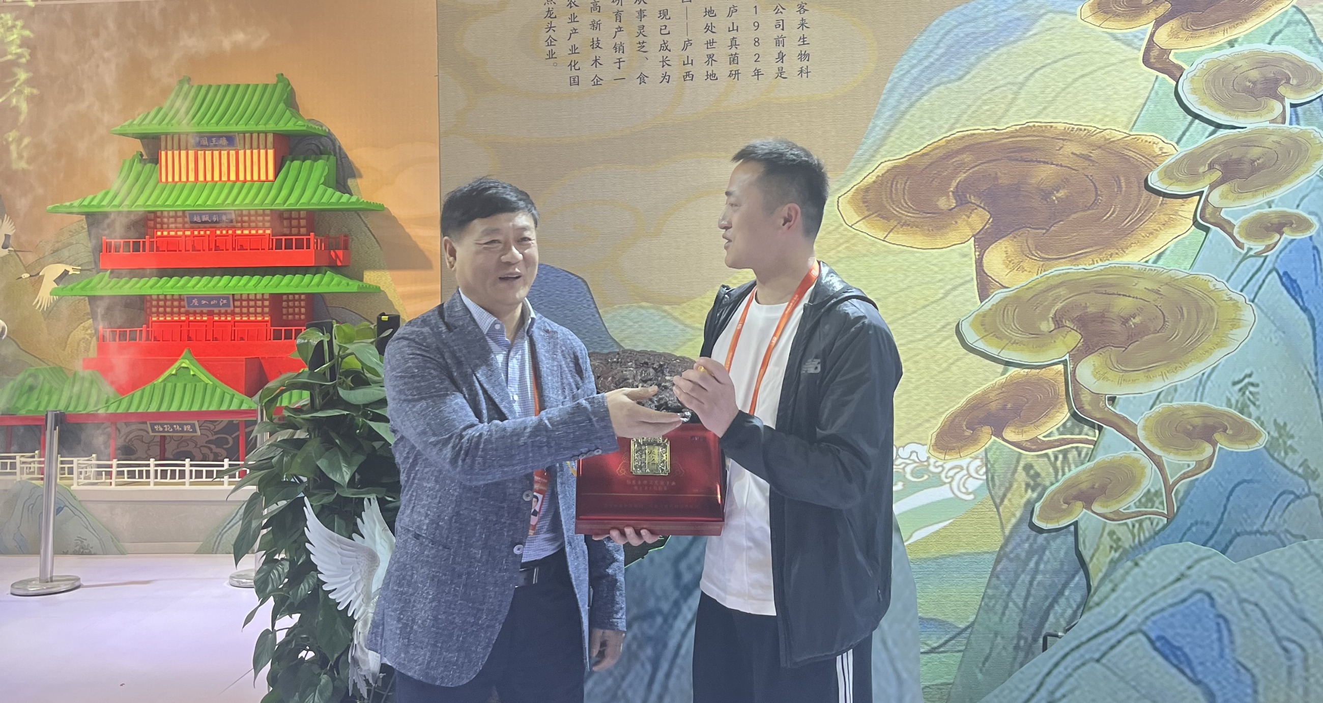 杭州亞運(yùn)會官方靈芝產(chǎn)品供應(yīng)商|杭州亞運(yùn)會官方供應(yīng)商|中國靈芝十大品牌|仙客來靈芝|仙客來靈芝破壁孢子粉|仙客來孢子油|仙客來靈芝飲片|仙客來破壁孢子粉|靈芝孢子油|孢子粉|靈芝破壁孢子粉|靈芝|中華老字號 杭州亞運(yùn)會官方靈芝產(chǎn)品供應(yīng)商|杭州亞運(yùn)會官方供應(yīng)商|中國靈芝十大品牌|仙客來靈芝|仙客來靈芝破壁孢子粉|仙客來孢子油|仙客來靈芝飲片|仙客來破壁孢子粉|靈芝孢子油|孢子粉|靈芝破壁孢子粉|靈芝|中華老字號