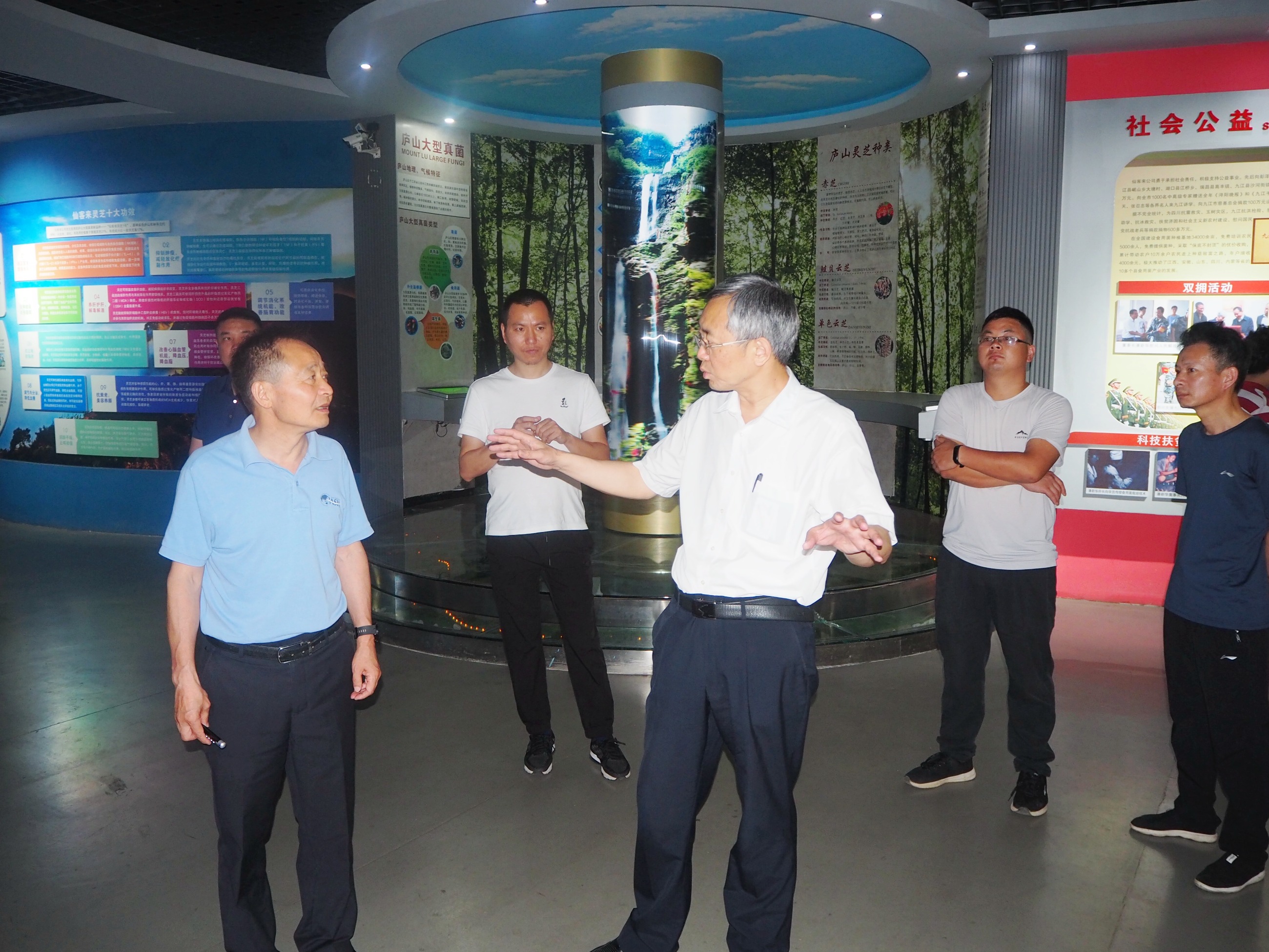 杭州亞運(yùn)會(huì)官方靈芝產(chǎn)品供應(yīng)商|杭州亞運(yùn)會(huì)官方供應(yīng)商|中國靈芝十大品牌|仙客來靈芝|仙客來靈芝破壁孢子粉|仙客來孢子油|仙客來靈芝飲片|仙客來破壁孢子粉|靈芝孢子油|孢子粉|靈芝破壁孢子粉|靈芝|中華老字號(hào) 杭州亞運(yùn)會(huì)官方靈芝產(chǎn)品供應(yīng)商|杭州亞運(yùn)會(huì)官方供應(yīng)商|中國靈芝十大品牌|仙客來靈芝|仙客來靈芝破壁孢子粉|仙客來孢子油|仙客來靈芝飲片|仙客來破壁孢子粉|靈芝孢子油|孢子粉|靈芝破壁孢子粉|靈芝|中華老字號(hào)