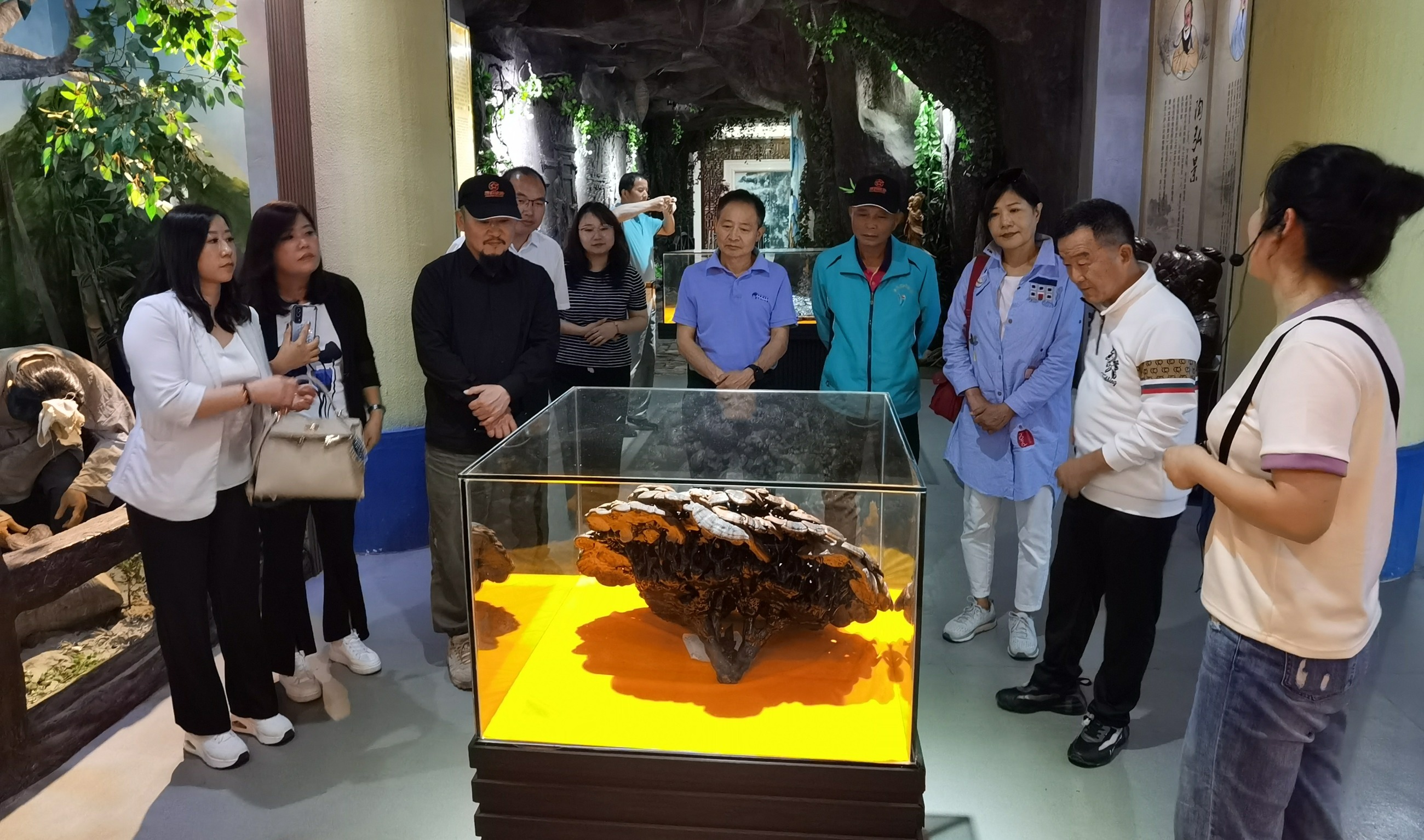 杭州亞運(yùn)會(huì)官方靈芝產(chǎn)品供應(yīng)商|杭州亞運(yùn)會(huì)官方供應(yīng)商|中國(guó)靈芝十大品牌|仙客來(lái)靈芝|仙客來(lái)靈芝破壁孢子粉|仙客來(lái)孢子油|仙客來(lái)靈芝飲片|仙客來(lái)破壁孢子粉|靈芝孢子油|孢子粉|靈芝破壁孢子粉|靈芝|中華老字號(hào) 杭州亞運(yùn)會(huì)官方靈芝產(chǎn)品供應(yīng)商|杭州亞運(yùn)會(huì)官方供應(yīng)商|中國(guó)靈芝十大品牌|仙客來(lái)靈芝|仙客來(lái)靈芝破壁孢子粉|仙客來(lái)孢子油|仙客來(lái)靈芝飲片|仙客來(lái)破壁孢子粉|靈芝孢子油|孢子粉|靈芝破壁孢子粉|靈芝|中華老字號(hào)