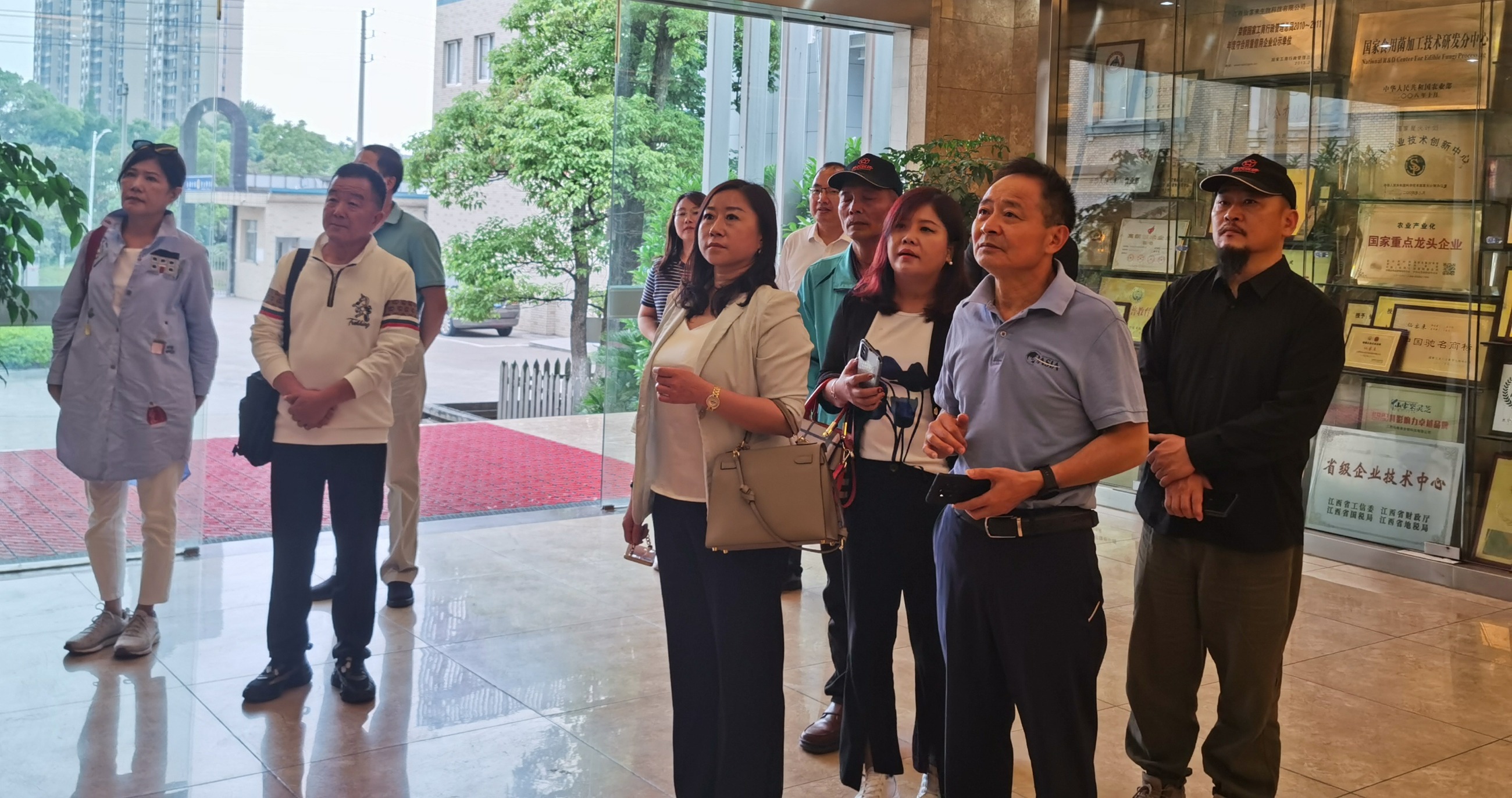 杭州亞運(yùn)會(huì)官方靈芝產(chǎn)品供應(yīng)商|杭州亞運(yùn)會(huì)官方供應(yīng)商|中國(guó)靈芝十大品牌|仙客來(lái)靈芝|仙客來(lái)靈芝破壁孢子粉|仙客來(lái)孢子油|仙客來(lái)靈芝飲片|仙客來(lái)破壁孢子粉|靈芝孢子油|孢子粉|靈芝破壁孢子粉|靈芝|中華老字號(hào) 杭州亞運(yùn)會(huì)官方靈芝產(chǎn)品供應(yīng)商|杭州亞運(yùn)會(huì)官方供應(yīng)商|中國(guó)靈芝十大品牌|仙客來(lái)靈芝|仙客來(lái)靈芝破壁孢子粉|仙客來(lái)孢子油|仙客來(lái)靈芝飲片|仙客來(lái)破壁孢子粉|靈芝孢子油|孢子粉|靈芝破壁孢子粉|靈芝|中華老字號(hào)