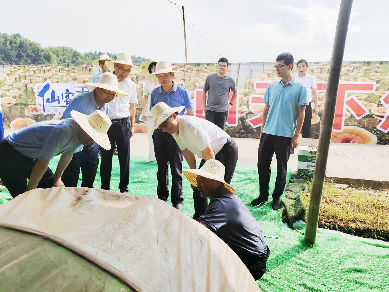 杭州亞運會官方靈芝產(chǎn)品供應(yīng)商|杭州亞運會官方供應(yīng)商|中國靈芝十大品牌|仙客來靈芝|仙客來靈芝破壁孢子粉|仙客來孢子油|仙客來靈芝飲片|仙客來破壁孢子粉|靈芝孢子油|孢子粉|靈芝破壁孢子粉|靈芝|中華老字號 杭州亞運會官方靈芝產(chǎn)品供應(yīng)商|杭州亞運會官方供應(yīng)商|中國靈芝十大品牌|仙客來靈芝|仙客來靈芝破壁孢子粉|仙客來孢子油|仙客來靈芝飲片|仙客來破壁孢子粉|靈芝孢子油|孢子粉|靈芝破壁孢子粉|靈芝|中華老字號