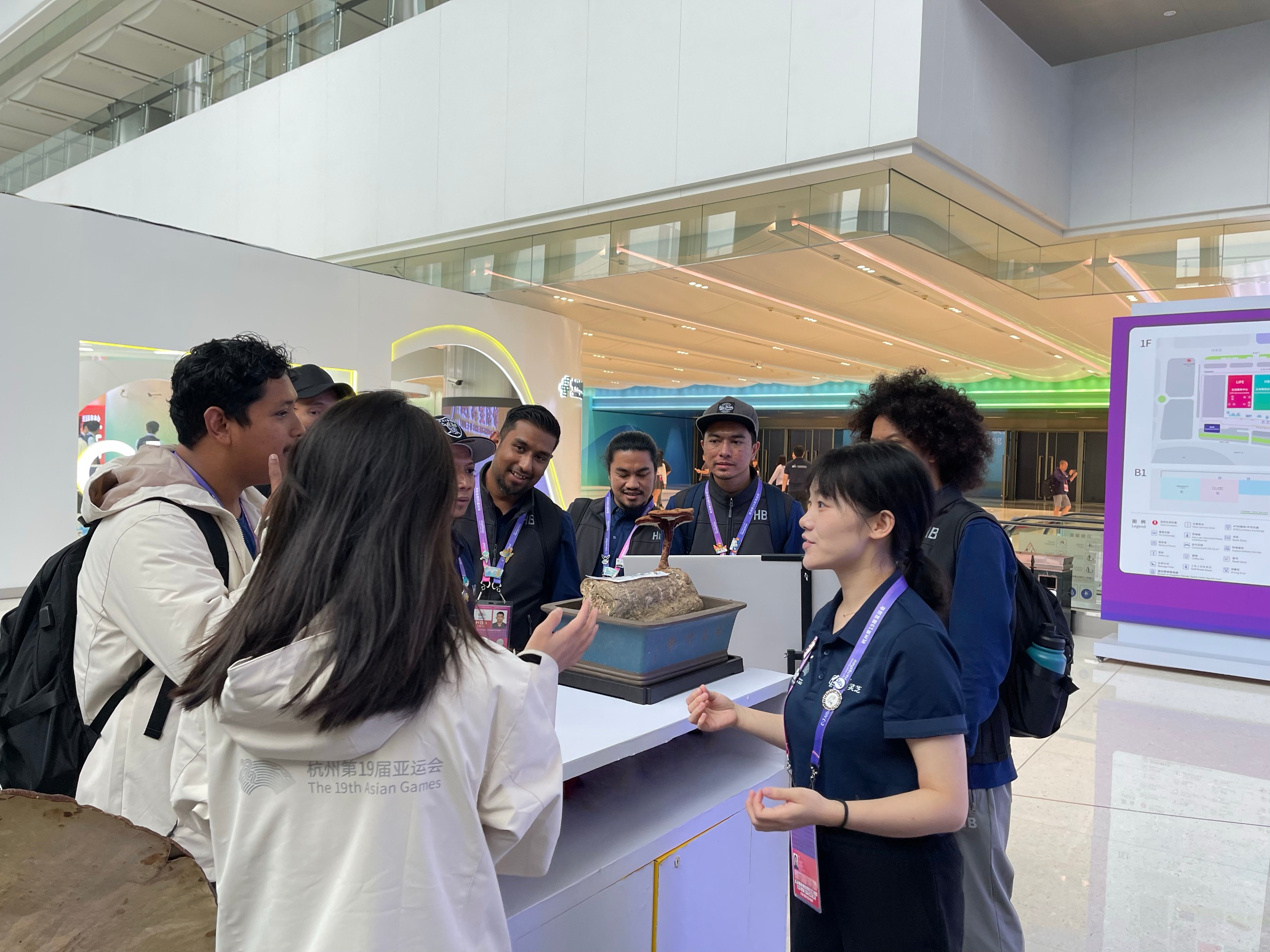 杭州亞運會官方靈芝產(chǎn)品供應(yīng)商|杭州亞運會官方供應(yīng)商|中國靈芝十大品牌|仙客來靈芝|仙客來靈芝破壁孢子粉|仙客來孢子油|仙客來靈芝飲片|仙客來破壁孢子粉|靈芝孢子油|孢子粉|靈芝破壁孢子粉|靈芝|中華老字號