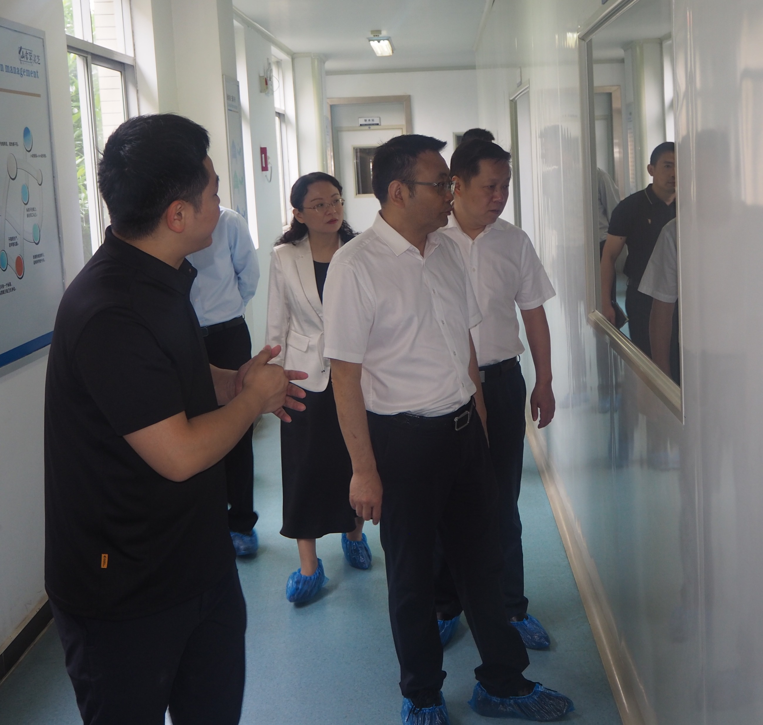 杭州亞運會官方靈芝產(chǎn)品供應(yīng)商|杭州亞運會官方供應(yīng)商|中國靈芝十大品牌|仙客來靈芝|仙客來靈芝破壁孢子粉|仙客來孢子油|仙客來靈芝飲片|仙客來破壁孢子粉|靈芝孢子油|孢子粉|靈芝破壁孢子粉|靈芝|中華老字號 杭州亞運會官方靈芝產(chǎn)品供應(yīng)商|杭州亞運會官方供應(yīng)商|中國靈芝十大品牌|仙客來靈芝|仙客來靈芝破壁孢子粉|仙客來孢子油|仙客來靈芝飲片|仙客來破壁孢子粉|靈芝孢子油|孢子粉|靈芝破壁孢子粉|靈芝|中華老字號