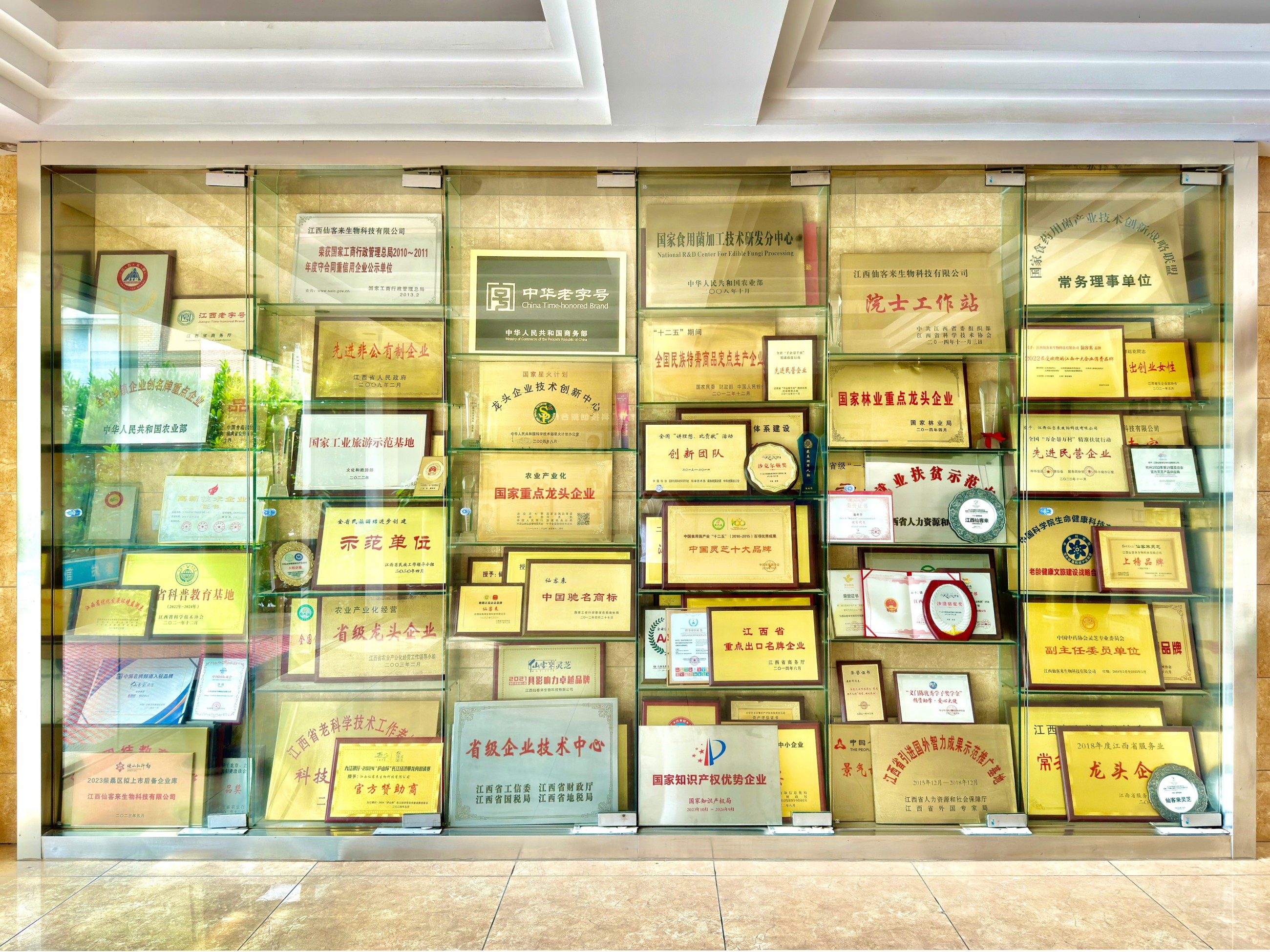 杭州亞運(yùn)會(huì)官方靈芝產(chǎn)品供應(yīng)商|杭州亞運(yùn)會(huì)官方供應(yīng)商|中國(guó)靈芝十大品牌|仙客來靈芝|仙客來靈芝破壁孢子粉|仙客來孢子油|仙客來靈芝飲片|仙客來破壁孢子粉|靈芝孢子油|孢子粉|靈芝破壁孢子粉|靈芝|中華老字號(hào)