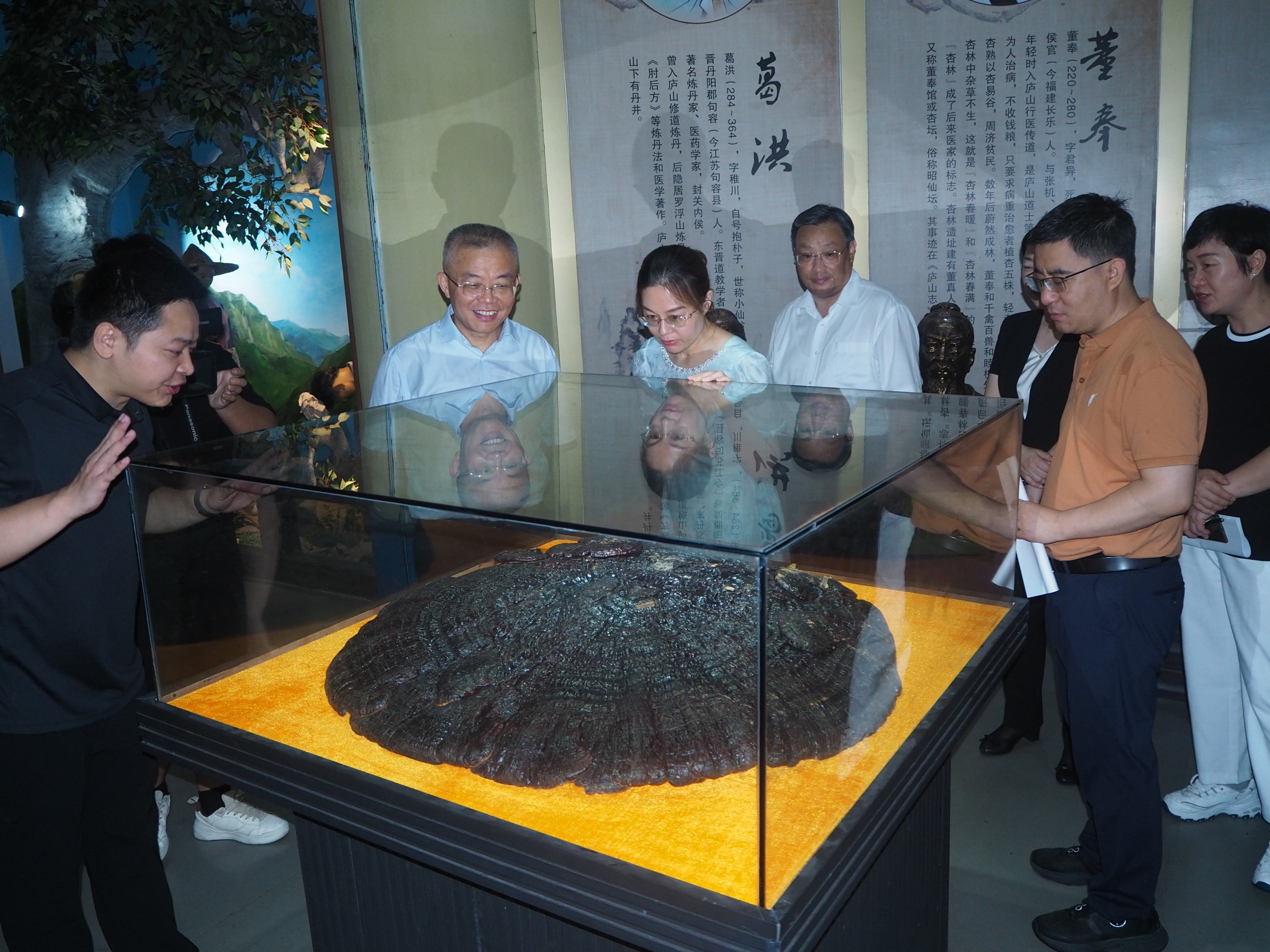 杭州亞運(yùn)會(huì)官方靈芝產(chǎn)品供應(yīng)商|杭州亞運(yùn)會(huì)官方供應(yīng)商|中國(guó)靈芝十大品牌|仙客來(lái)靈芝|仙客來(lái)靈芝破壁孢子粉|仙客來(lái)孢子油|仙客來(lái)靈芝飲片|仙客來(lái)破壁孢子粉|靈芝孢子油|孢子粉|靈芝破壁孢子粉|靈芝|中華老字號(hào) 杭州亞運(yùn)會(huì)官方靈芝產(chǎn)品供應(yīng)商|杭州亞運(yùn)會(huì)官方供應(yīng)商|中國(guó)靈芝十大品牌|仙客來(lái)靈芝|仙客來(lái)靈芝破壁孢子粉|仙客來(lái)孢子油|仙客來(lái)靈芝飲片|仙客來(lái)破壁孢子粉|靈芝孢子油|孢子粉|靈芝破壁孢子粉|靈芝|中華老字號(hào)