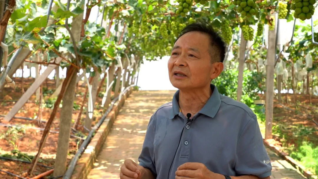 杭州亞運(yùn)會官方靈芝產(chǎn)品供應(yīng)商|杭州亞運(yùn)會官方供應(yīng)商|中國靈芝十大品牌|仙客來靈芝|仙客來靈芝破壁孢子粉|仙客來孢子油|仙客來靈芝飲片|仙客來破壁孢子粉|靈芝孢子油|孢子粉|靈芝破壁孢子粉|靈芝|中華老字號 杭州亞運(yùn)會官方靈芝產(chǎn)品供應(yīng)商|杭州亞運(yùn)會官方供應(yīng)商|中國靈芝十大品牌|仙客來靈芝|仙客來靈芝破壁孢子粉|仙客來孢子油|仙客來靈芝飲片|仙客來破壁孢子粉|靈芝孢子油|孢子粉|靈芝破壁孢子粉|靈芝|中華老字號