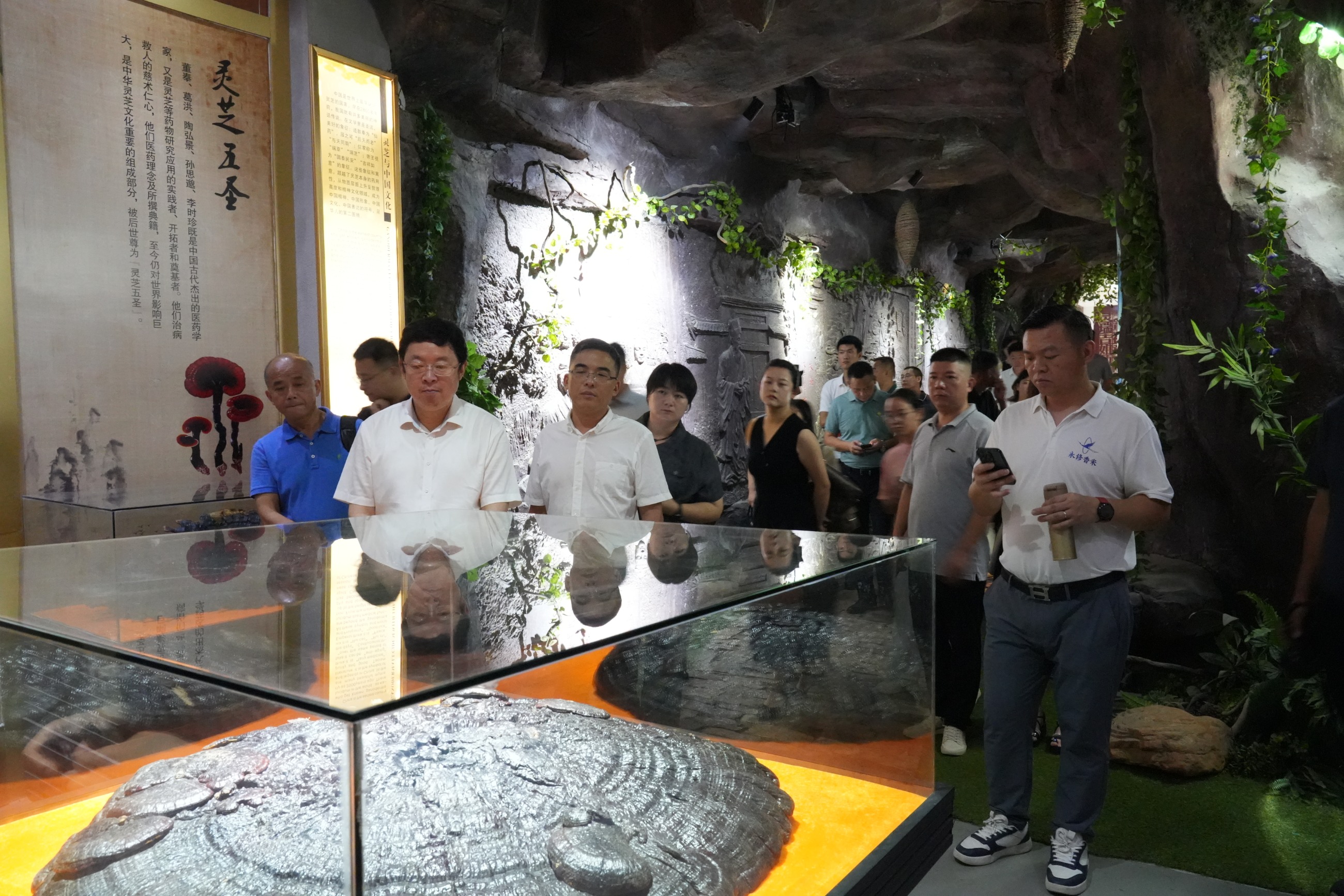 杭州亞運(yùn)會(huì)官方靈芝產(chǎn)品供應(yīng)商|杭州亞運(yùn)會(huì)官方供應(yīng)商|中國(guó)靈芝十大品牌|仙客來(lái)靈芝|仙客來(lái)靈芝破壁孢子粉|仙客來(lái)孢子油|仙客來(lái)靈芝飲片|仙客來(lái)破壁孢子粉|靈芝孢子油|孢子粉|靈芝破壁孢子粉|靈芝|中華老字號(hào) 杭州亞運(yùn)會(huì)官方靈芝產(chǎn)品供應(yīng)商|杭州亞運(yùn)會(huì)官方供應(yīng)商|中國(guó)靈芝十大品牌|仙客來(lái)靈芝|仙客來(lái)靈芝破壁孢子粉|仙客來(lái)孢子油|仙客來(lái)靈芝飲片|仙客來(lái)破壁孢子粉|靈芝孢子油|孢子粉|靈芝破壁孢子粉|靈芝|中華老字號(hào)