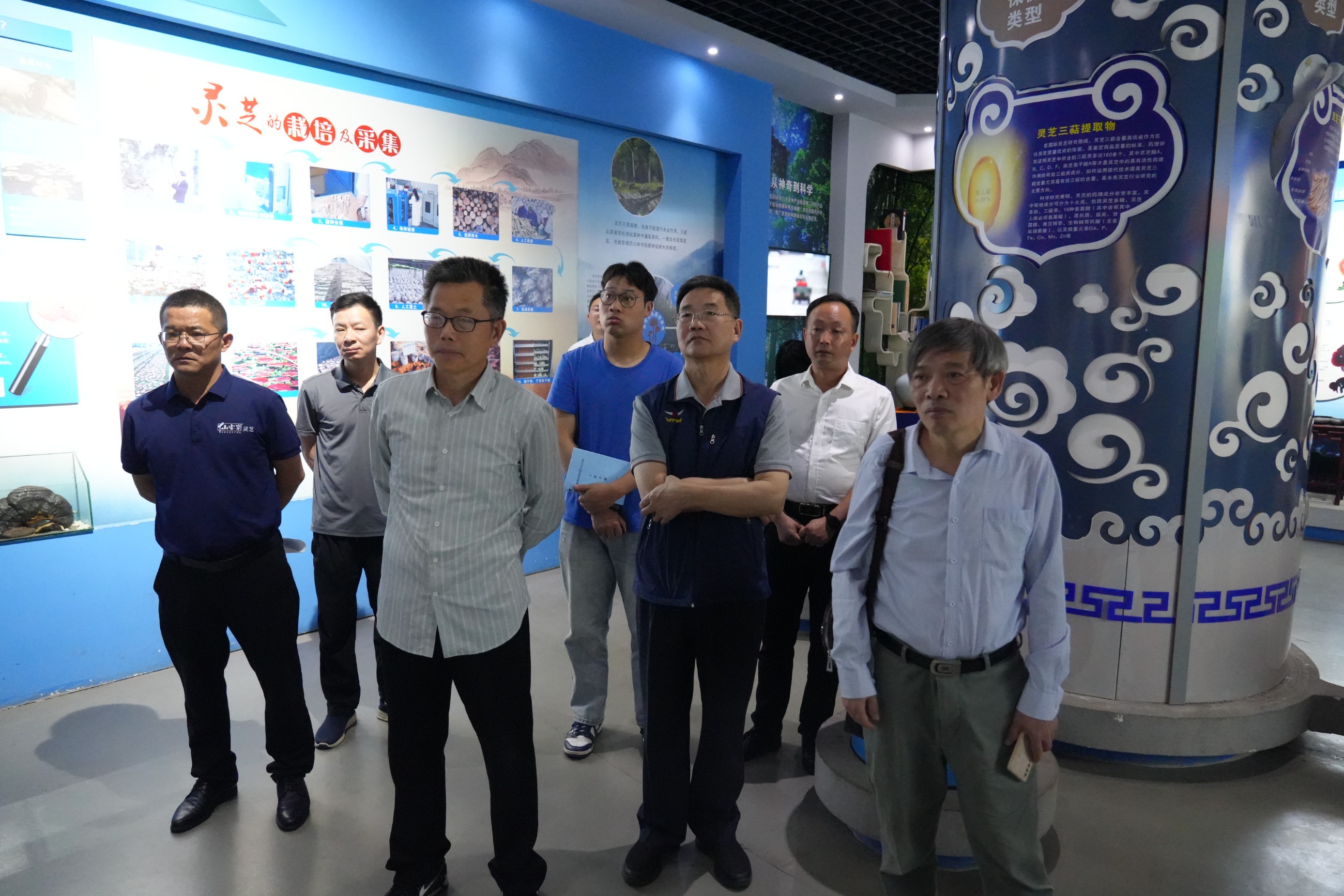 杭州亞運(yùn)會(huì)官方靈芝產(chǎn)品供應(yīng)商|杭州亞運(yùn)會(huì)官方供應(yīng)商|中國靈芝十大品牌|仙客來靈芝|仙客來靈芝破壁孢子粉|仙客來孢子油|仙客來靈芝飲片|仙客來破壁孢子粉|靈芝孢子油|孢子粉|靈芝破壁孢子粉|靈芝|中華老字號(hào) 杭州亞運(yùn)會(huì)官方靈芝產(chǎn)品供應(yīng)商|杭州亞運(yùn)會(huì)官方供應(yīng)商|中國靈芝十大品牌|仙客來靈芝|仙客來靈芝破壁孢子粉|仙客來孢子油|仙客來靈芝飲片|仙客來破壁孢子粉|靈芝孢子油|孢子粉|靈芝破壁孢子粉|靈芝|中華老字號(hào)