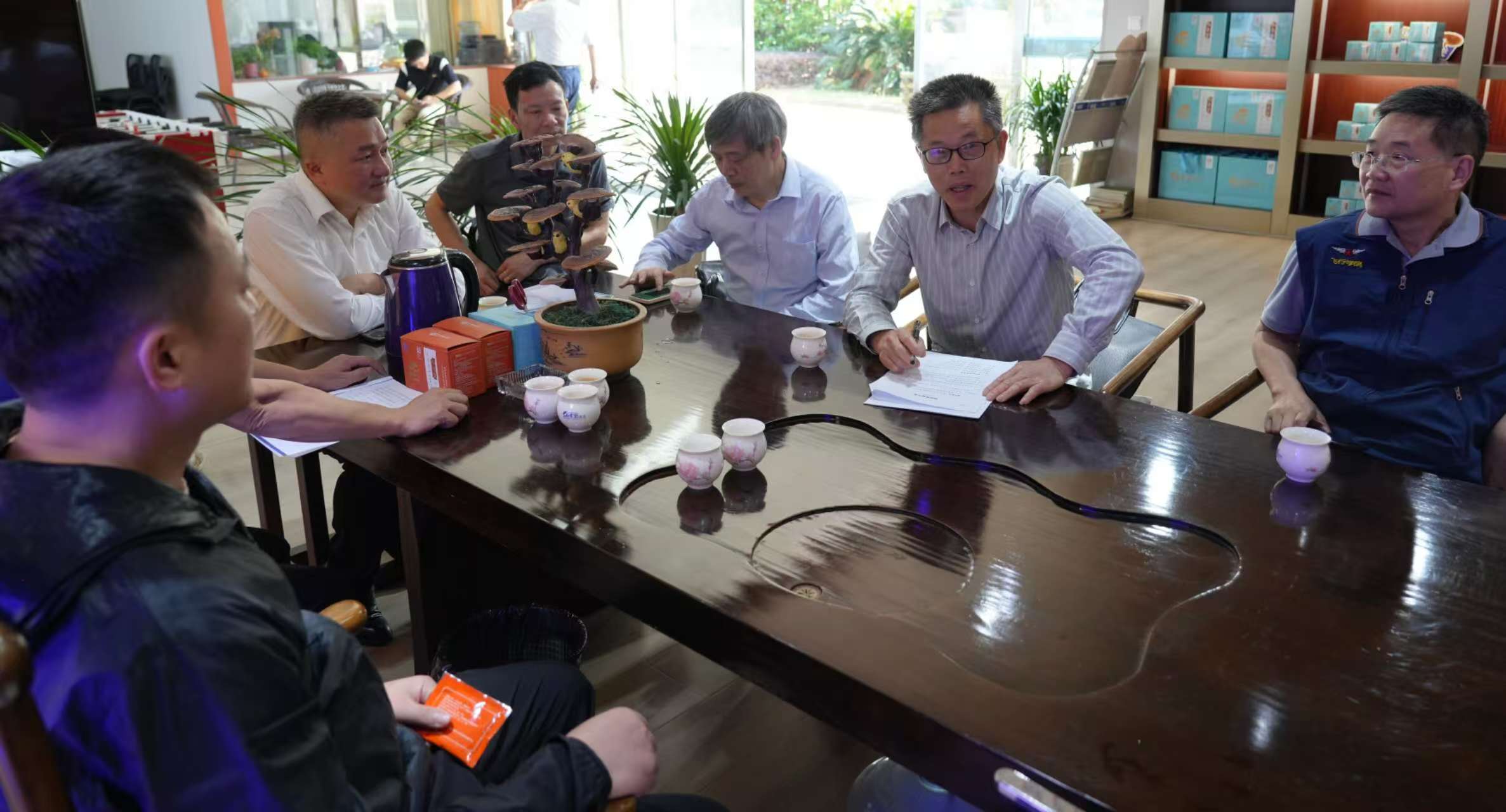 杭州亞運(yùn)會(huì)官方靈芝產(chǎn)品供應(yīng)商|杭州亞運(yùn)會(huì)官方供應(yīng)商|中國靈芝十大品牌|仙客來靈芝|仙客來靈芝破壁孢子粉|仙客來孢子油|仙客來靈芝飲片|仙客來破壁孢子粉|靈芝孢子油|孢子粉|靈芝破壁孢子粉|靈芝|中華老字號(hào) 杭州亞運(yùn)會(huì)官方靈芝產(chǎn)品供應(yīng)商|杭州亞運(yùn)會(huì)官方供應(yīng)商|中國靈芝十大品牌|仙客來靈芝|仙客來靈芝破壁孢子粉|仙客來孢子油|仙客來靈芝飲片|仙客來破壁孢子粉|靈芝孢子油|孢子粉|靈芝破壁孢子粉|靈芝|中華老字號(hào)