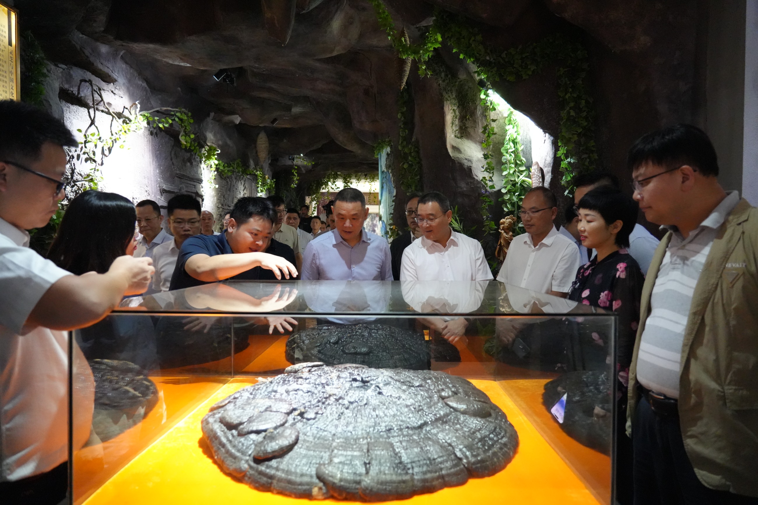 杭州亞運(yùn)會(huì)官方靈芝產(chǎn)品供應(yīng)商|杭州亞運(yùn)會(huì)官方供應(yīng)商|中國(guó)靈芝十大品牌|仙客來(lái)靈芝|仙客來(lái)靈芝破壁孢子粉|仙客來(lái)孢子油|仙客來(lái)靈芝飲片|仙客來(lái)破壁孢子粉|靈芝孢子油|孢子粉|靈芝破壁孢子粉|靈芝|中華老字號(hào) 杭州亞運(yùn)會(huì)官方靈芝產(chǎn)品供應(yīng)商|杭州亞運(yùn)會(huì)官方供應(yīng)商|中國(guó)靈芝十大品牌|仙客來(lái)靈芝|仙客來(lái)靈芝破壁孢子粉|仙客來(lái)孢子油|仙客來(lái)靈芝飲片|仙客來(lái)破壁孢子粉|靈芝孢子油|孢子粉|靈芝破壁孢子粉|靈芝|中華老字號(hào)