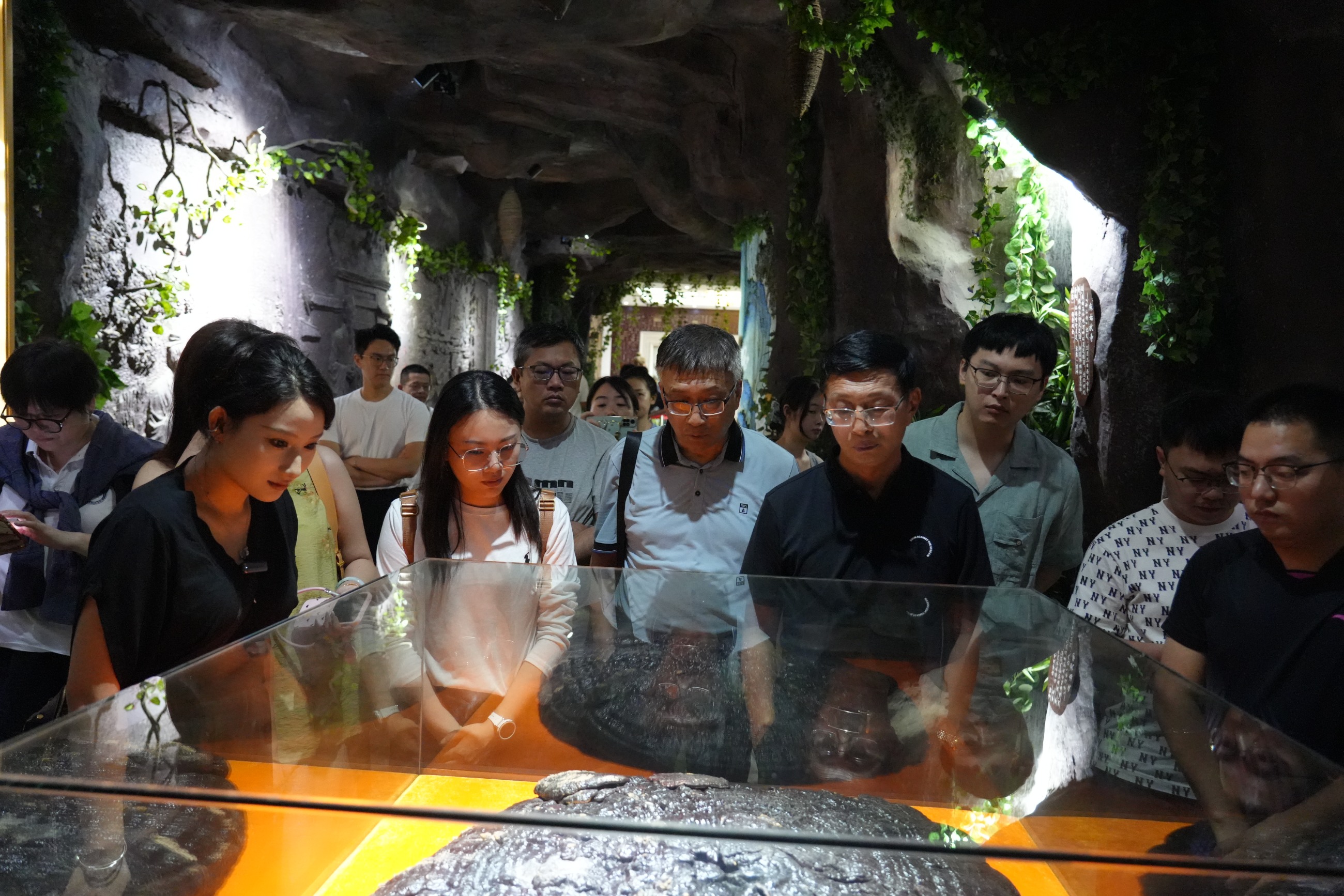 杭州亞運(yùn)會(huì)官方靈芝產(chǎn)品供應(yīng)商|杭州亞運(yùn)會(huì)官方供應(yīng)商|中國靈芝十大品牌|仙客來靈芝|仙客來靈芝破壁孢子粉|仙客來孢子油|仙客來靈芝飲片|仙客來破壁孢子粉|靈芝孢子油|孢子粉|靈芝破壁孢子粉|靈芝|中華老字號(hào)