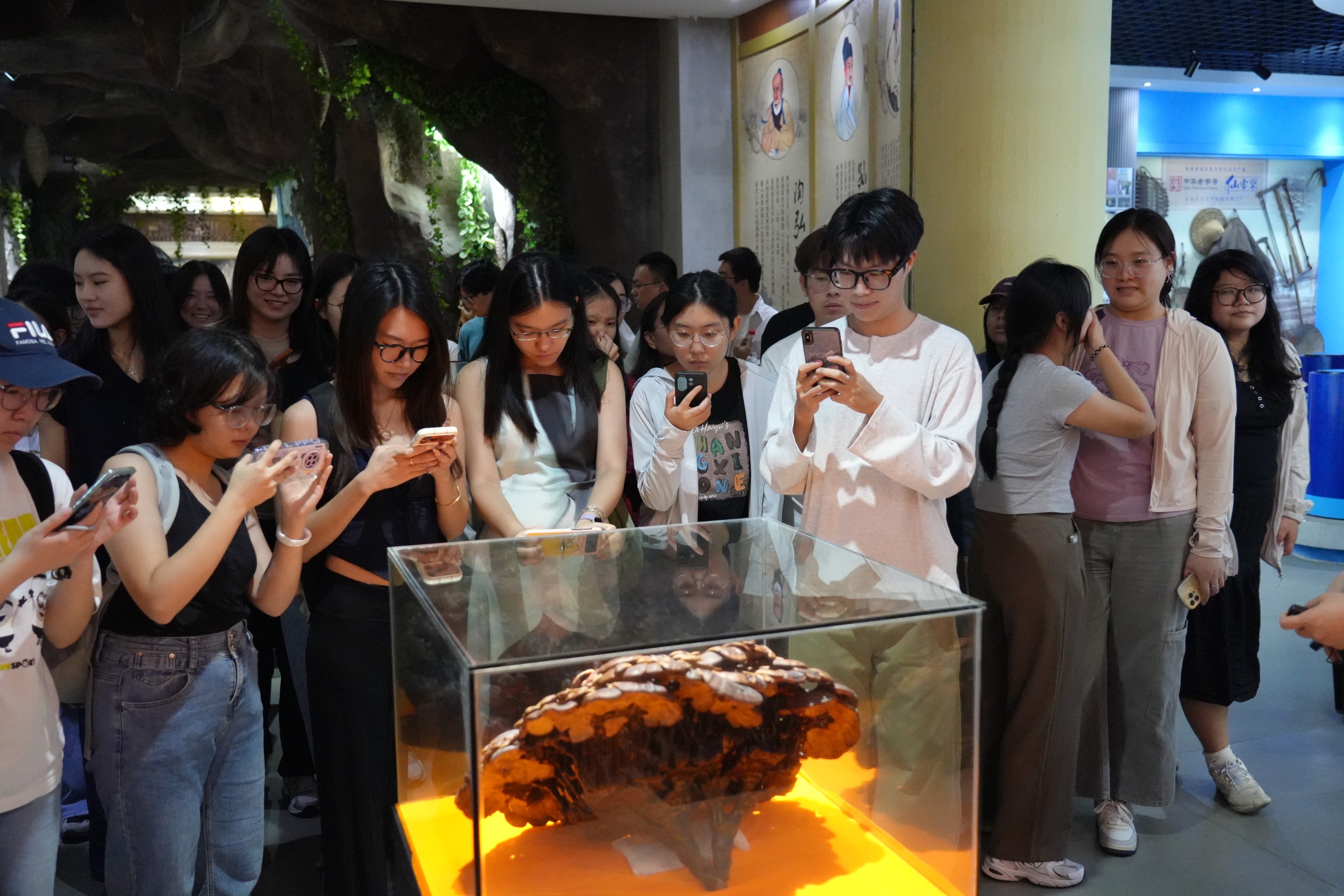 杭州亞運(yùn)會(huì)官方靈芝產(chǎn)品供應(yīng)商|杭州亞運(yùn)會(huì)官方供應(yīng)商|中國(guó)靈芝十大品牌|仙客來靈芝|仙客來靈芝破壁孢子粉|仙客來孢子油|仙客來靈芝飲片|仙客來破壁孢子粉|靈芝孢子油|孢子粉|靈芝破壁孢子粉|靈芝|中華老字號(hào)