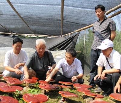 仙客來(lái)產(chǎn)業(yè)園景區(qū)獲批三產(chǎn)融合旅游國(guó)家級(jí)3A景區(qū)