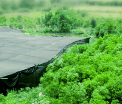 感謝廬山吧，這會是一場“仙旅情緣”