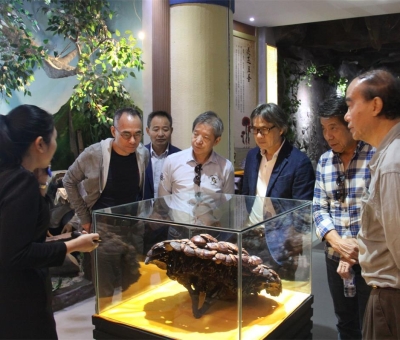 健康“良方”在這！全國(guó)政協(xié)委員、世界著名大學(xué)香港大學(xué) 榮譽(yù)院士孫少文博士蒞臨仙客來(lái)公司參觀考察