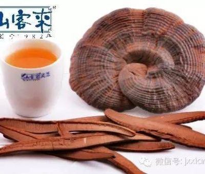 熱潮不斷！仙客來(lái)有機(jī)靈芝被點(diǎn)贊刷屏