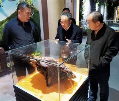 中華全國(guó)供銷合作總社原副主任戴公興一行蒞臨仙客來公司視察指導(dǎo)